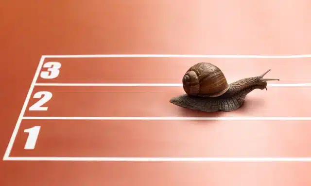 Snail race